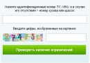 ГИБДД открыли сервис по проверке истории автомобиля